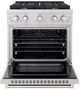 ZLINE Paramount 30" Stainless Steel Pro Style Dual Fuel Range-1