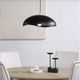 Renwil® Filomena Matte Black Pendant Light-3