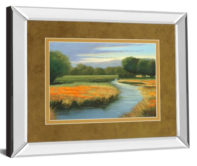 Classy Art California Orange by Julie Peterson Mirror Framed Wall Art-1