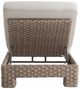 Bernhardt Trieste Bernhardt Exteriors Pampas/White Fabric/Wicker Outdoor Chaise-3