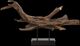 Uttermost® Gilded Branch Dark Brown/Matte Black Sculpture-3