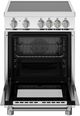 Bertazzoni Master Series 24" Stainless Steel Pro Style Induction Range-1