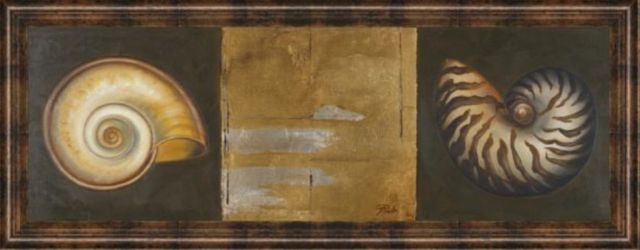Classy Art Seashells I By Patricia Pinto Wall Art-1