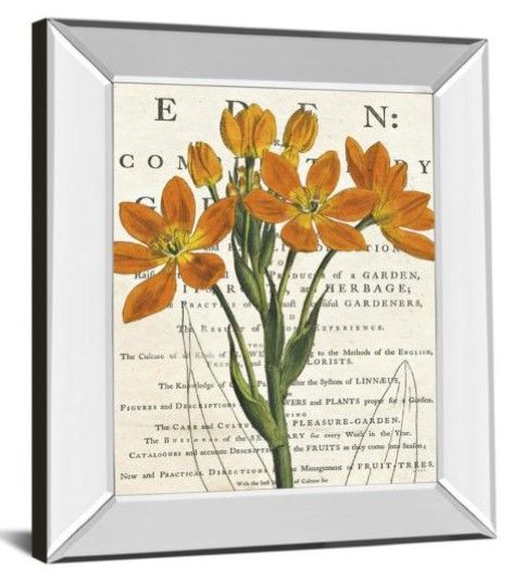 Classy Art Eurphoria Botany by Sue Schlabac Wall Art-1