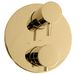 ZLINE Autograph Edition Polished Gold Emerald Bay Thermostatic Shower System with Body Jets-4