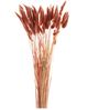 A & B Home Brown Dried Bunny Tail Bundle-0
