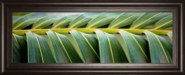 Classy Art Palma I by Susan Bryant Framed Print Wall Art-1