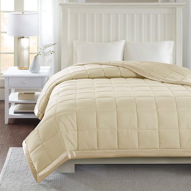 Olliix by Madison Park Ivory All Season Hypoallergenic Microfiber Down Alternative Twin Windom Blanket-4