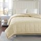 Olliix by Madison Park Ivory All Season Hypoallergenic Microfiber Down Alternative Twin Windom Blanket-4