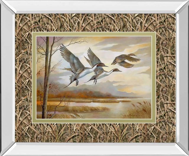 Classy Art Pintails by Ruanne Manning Mirror Framed Wall Art-0
