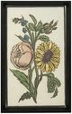 Stylecraft Vintage Floral I Wall Art-0