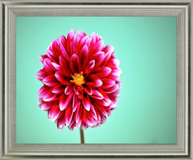 Classy Living Crimson Radiance Wall Art-0