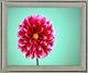 Classy Living Crimson Radiance Wall Art-0