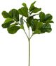 A & B Home Green Fiddle Leaf Branch-1