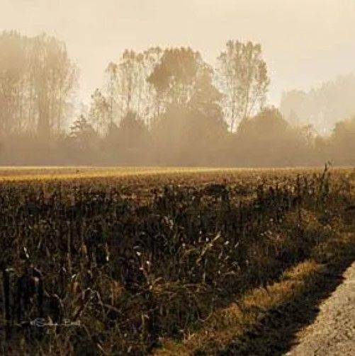 Classy Art Country Road by Susan Ball Wall Art-1