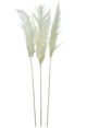 A & B Home White Dried Natural Pampas Grass Bundle-0