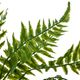 A & B Home Green Un-Real Leaves Bush-2
