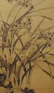 Stylecraft Dann Foley Lifestyle Narcissus Black/Gold Wall Art-1