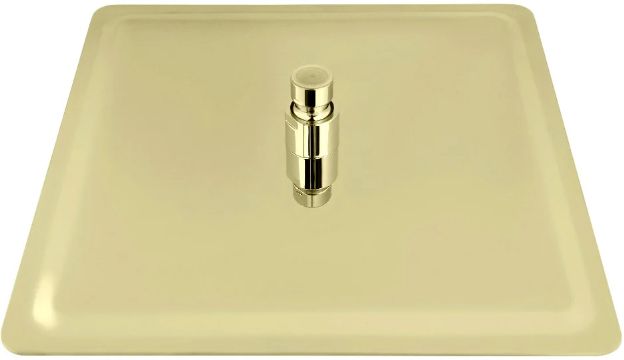 ZLINE Autograph Edition Bliss Polished Gold 8" Rainfall Shower Head-2
