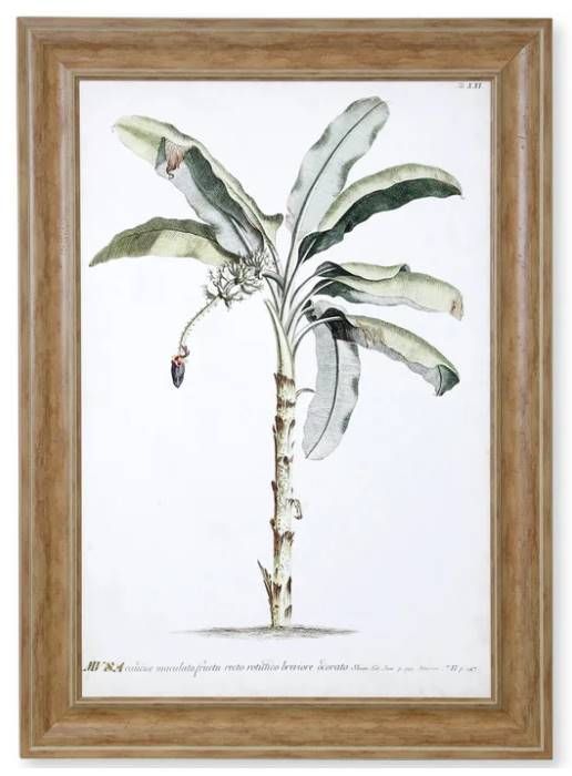 StyleCraft Banana Palm II Light Brown/Light Green Wall Art-0
