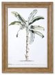 StyleCraft Banana Palm II Light Brown/Light Green Wall Art-0