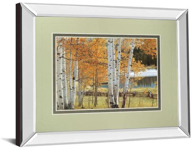 Classy Art Birch Beauty by Mike Jones Mirror Framed Wall Art-1