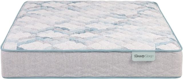 Beautyrest® Darcey 11.5" Pocketed Coil® Extra Firm Tight Top Queen Mattress-2