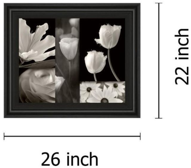 Classy Living Dennis Frates Summer Garden Il Wall Art-2
