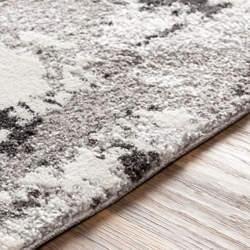 Surya Venice Gray/Ivory 5'x7' Area Rug-3