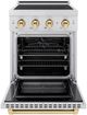 ZLINE Autograph Edition Paramount 24" Satin Stainless Steel Pro Style Induction Range with Polished Gold Accents-1