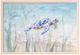 Stylecraft Undersea Turtle Wall Art-0