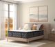 Serta® Perfect Sleeper® Synergy 15.5" Innerspring Plush Euro Top Queen Mattress-1