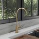 ZLINE Core Palisades Champagne Bronze Single Handle Drink Faucet-3