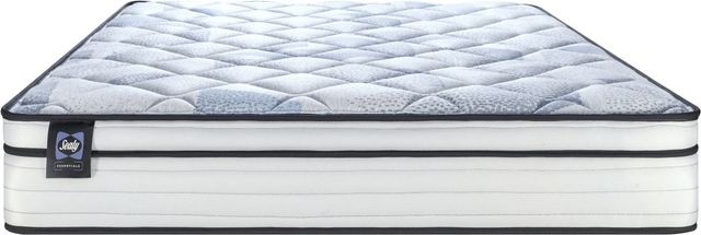 Sealy® Essentials Eli 10.5" Foam Medium Euro Top Queen Mattress-3