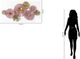 Classy Living Pink and Gold Floral Art Wall Decor-2