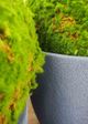 Le Present Sandstone Helmet Grey 16" Planter-3