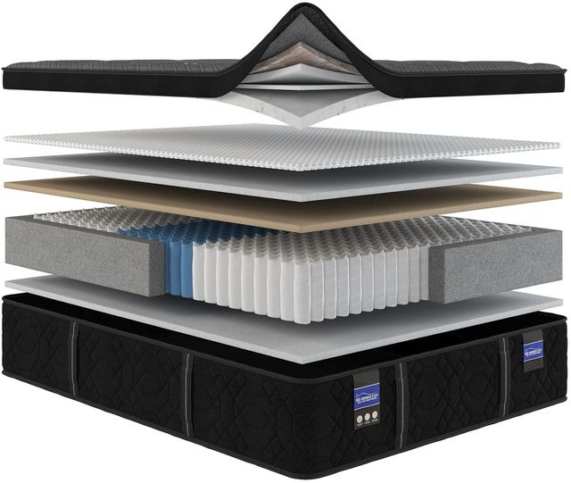 Spring Air® Back Supporter Infinite 16.5" Hybrid Plush Box Top Full XL Mattress-1
