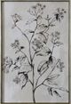 StyleCraft Botanical Delight II Wall Art-1