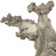 A & B Home Weathered Natural Table Decor-3