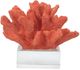 A & B Home Red Inna Faux Elkhorn Coral-4