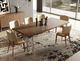 VIG Furniture Modrest Heloise Walnut Dining Table-3