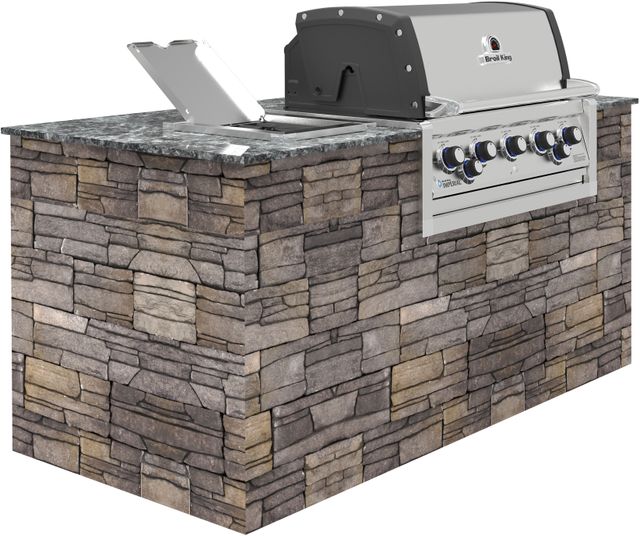Broil King® Imperial™ 590 5-Burner Stainless Steel Built-In Natural Gas Head-2