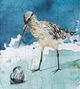 Stylecraft Sandpiper II Blue/Green/White Wall Art-1