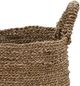 Dovetail Furniture Withers 3-Piece Green Basket Set-1