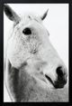 Stylecraft Black/White Wall Art-0