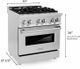 ZLINE 30" Stainless Steel Pro Style Dual Fuel Range-3