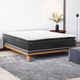 Primo™ International Balance 12" Wrapped Coil Medium Plush Euro Top King Mattress in Box-4