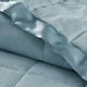 Olliix by Madison Park Blue All Season Hypoallergenic Microfiber Down Alternative Twin Windom Blanket-1