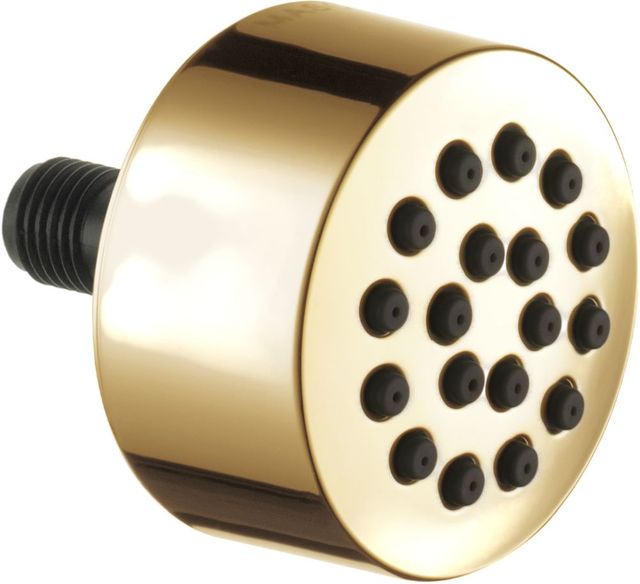 Brizo Essential™ Brilliance® Polished Gold Hydrachoice® Touch-Clean® Spray Head-0