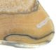 A & B Home Eduardo Brown Hand-Carved Zebra Onyx Bowl-1